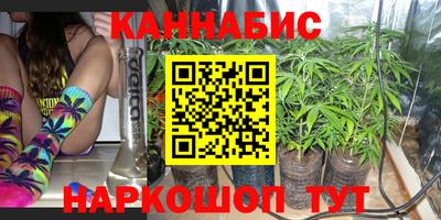 сатива Кимры