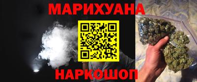 сатива Кимры