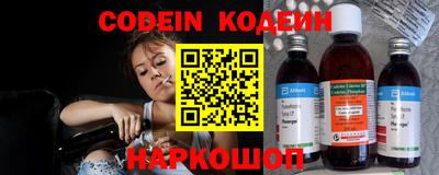герыч Кингисепп
