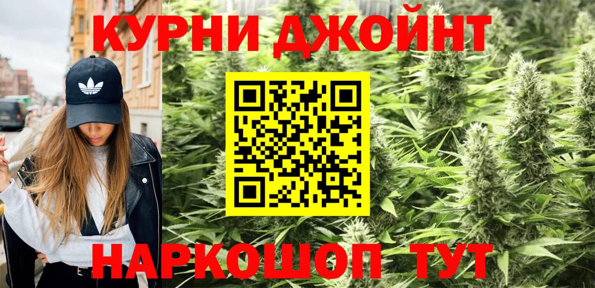 Альфа ПВП Вологда